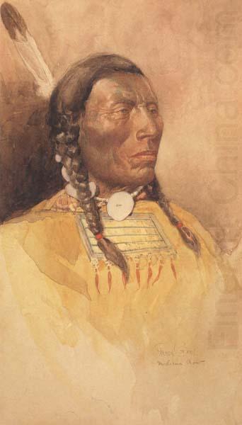 Percy Gray Medicine Crow (mk42) china oil painting image